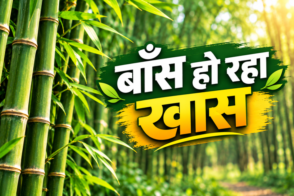बाँस हो रहा खास