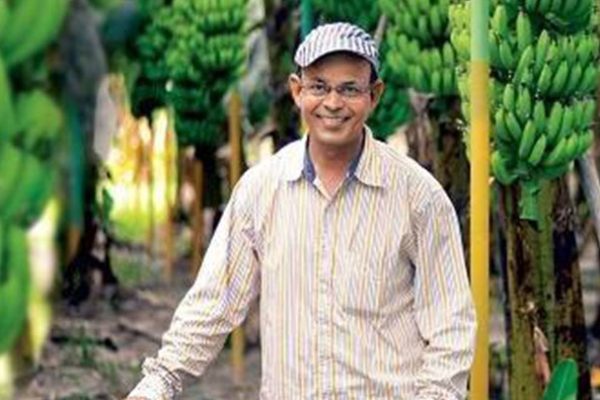 55 एकड़ में केले की खेती से हर साल 1.65 करोड़ कमा रहे रामशरण
